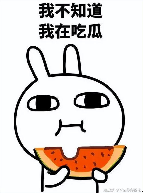 瓜瓜吃瓜动画,揭秘动画中的趣味与智慧