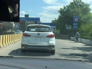 车子排队吃瓜,揭秘排队吃瓜的汽车文化现象