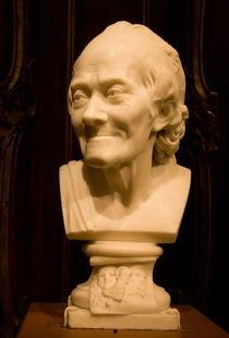 吃瓜的伏尔泰,吃瓜群众的智慧与讽刺