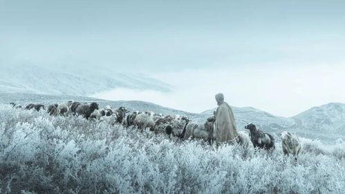 云端吃瓜牧歌下载,揭秘虚拟世界中的田园牧歌生活