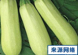 怀孕梦到吃白瓜,白瓜预示着什么?