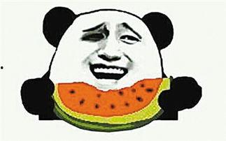 吃瓜的群众吃的什么瓜,揭秘吃瓜群众的最爱瓜种
