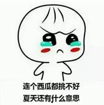 来带你摘瓜吃,跟随我来带你摘瓜吃,体验丰收的喜悦